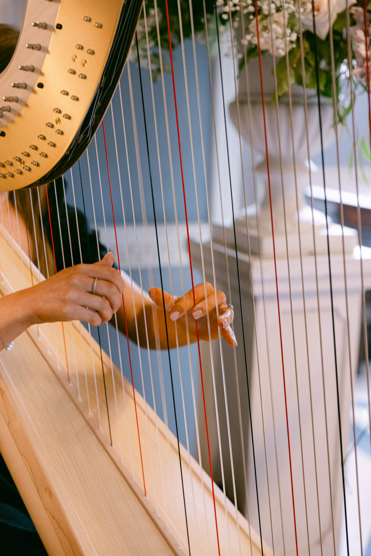 A wedding photo of a harpist playing the harp at Luttrellstown Castle