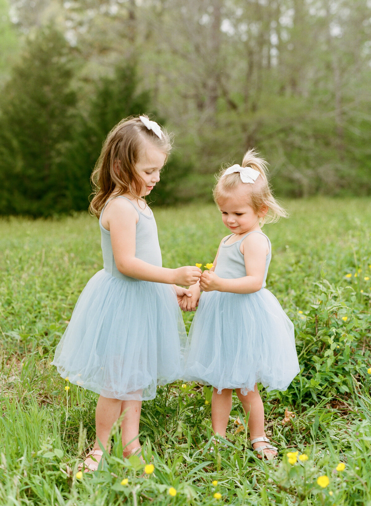 sisters exchange flowers during their family session. Image by Raleigh maternity photographer A.J. Dunlap Photography.