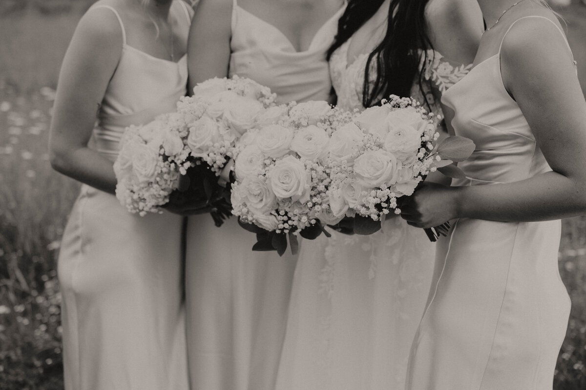 SYDNEY&DOM-4467-2