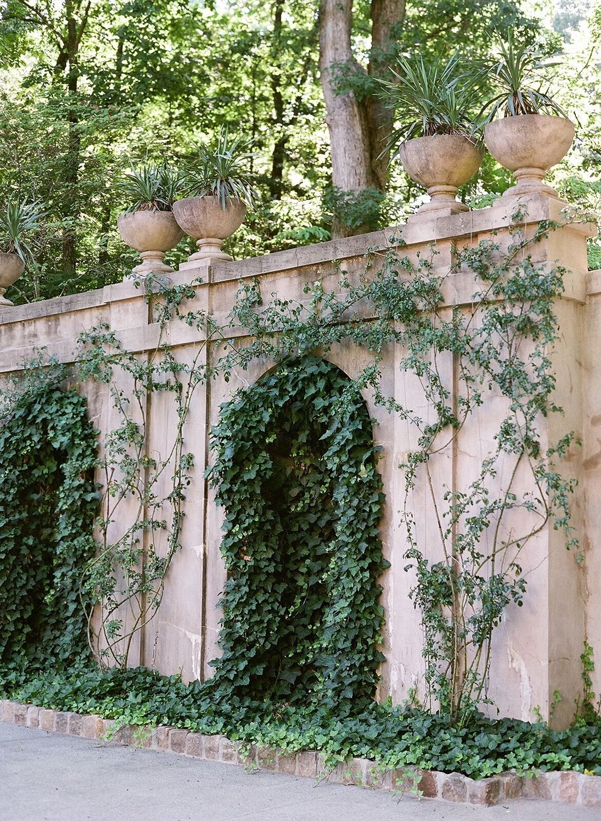 swan-house-ivy