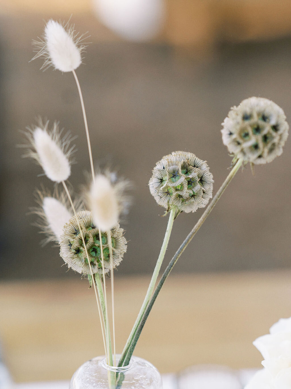Kiawah-Wedding-Planner-Mingo-Point-27