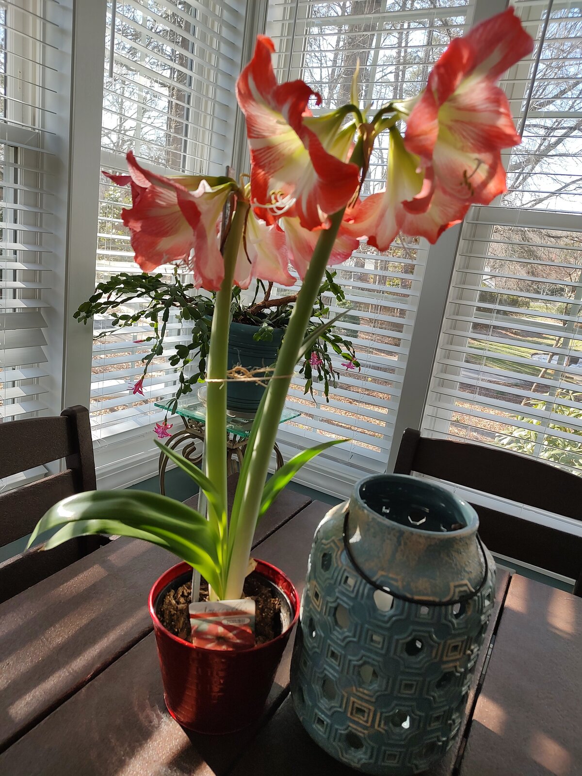 IMG_20240202_140325055_HDR