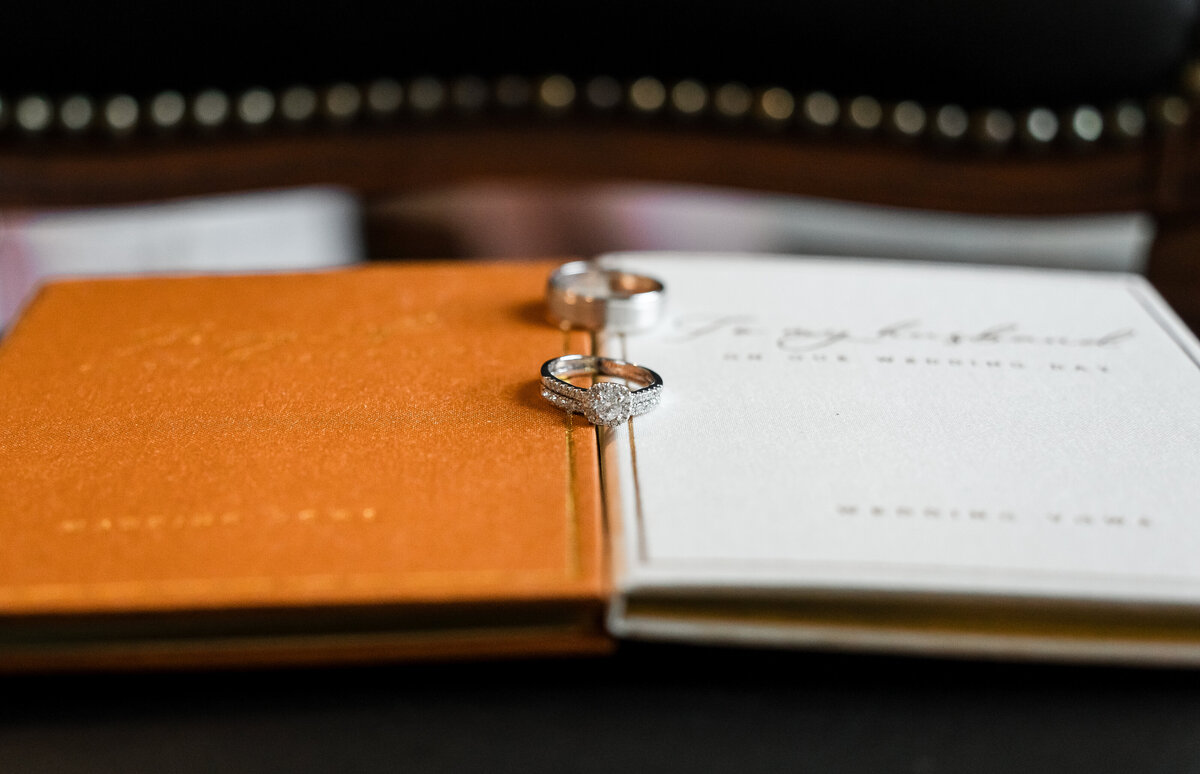 Buffalo NY and Rochester NY and WNY Wedding Photographer Finger Lakes region Wedding Photographer The Gallagher Medina NY