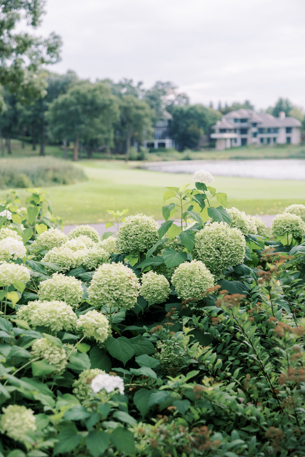 Minneapolis-wedding-photographer-15