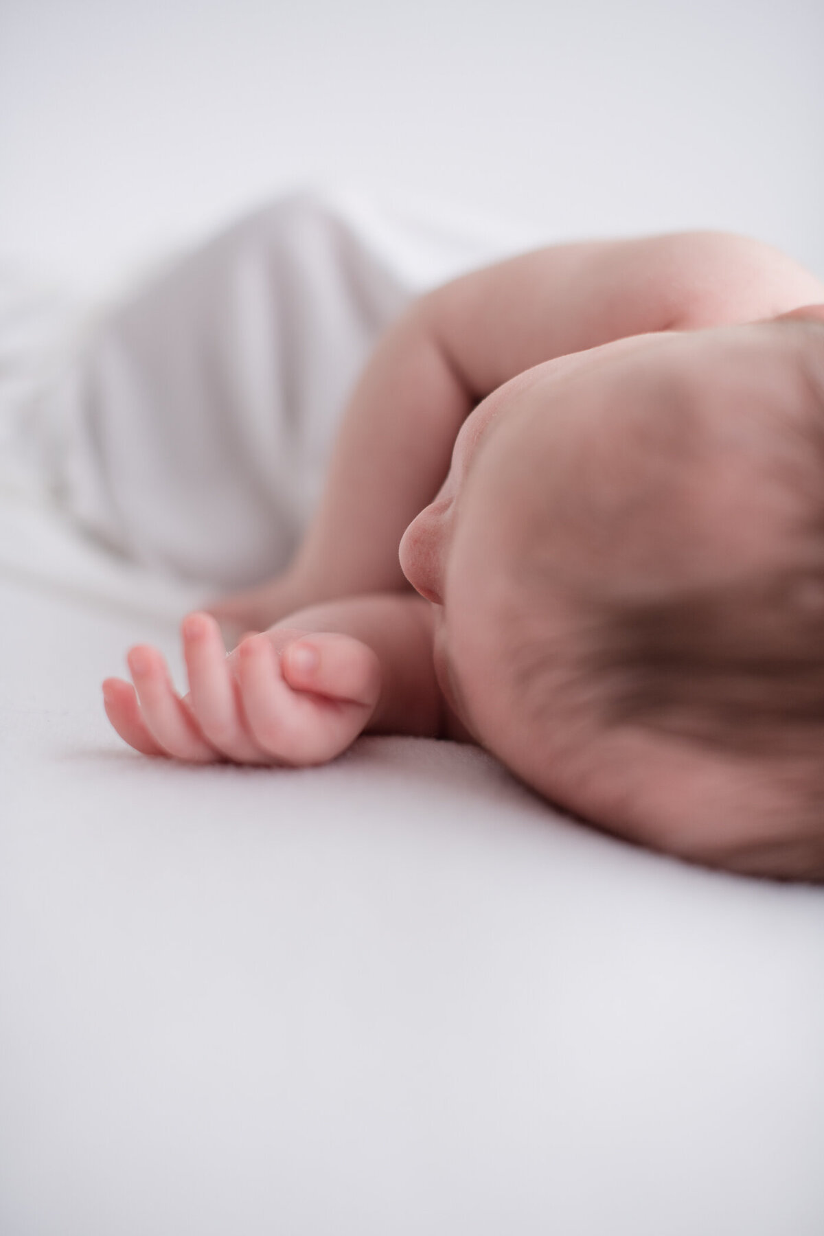 Newborn-Studio-Erin-Belles-Photography-2025-3