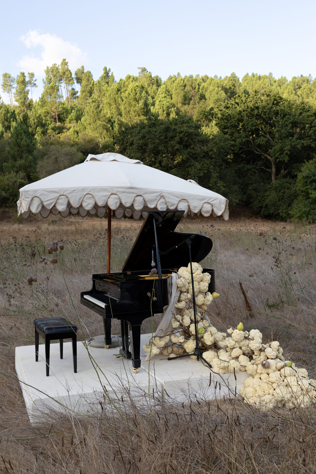 075_SouthAfricaWedding