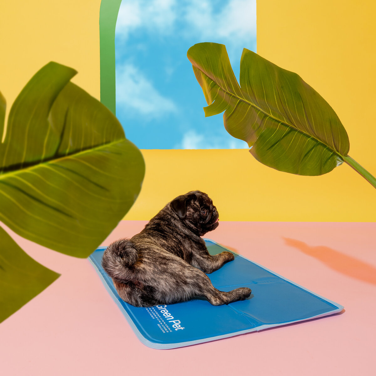 GreenPetcoolingpads_-18