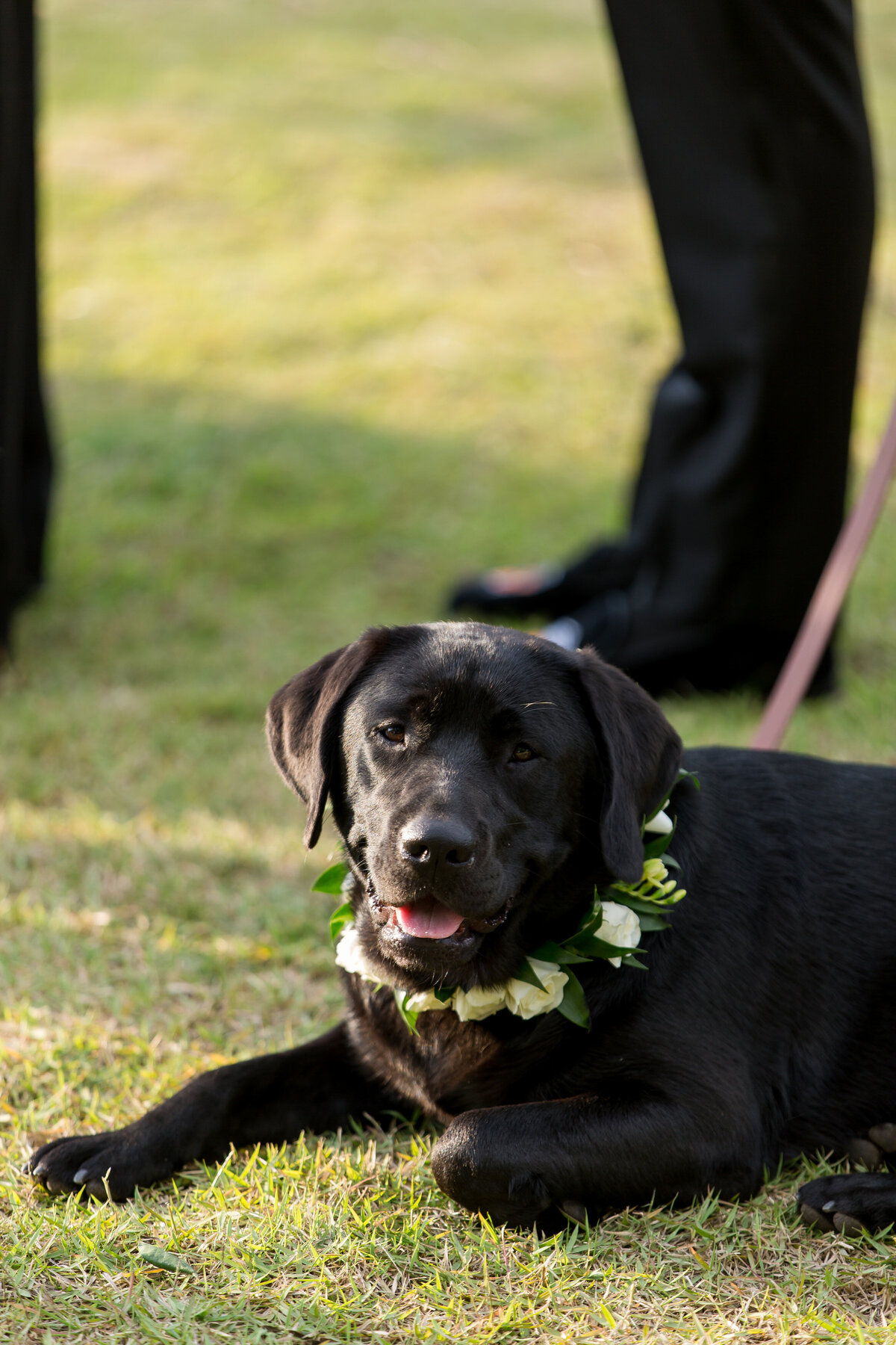 texas-ranch-wedding-1293