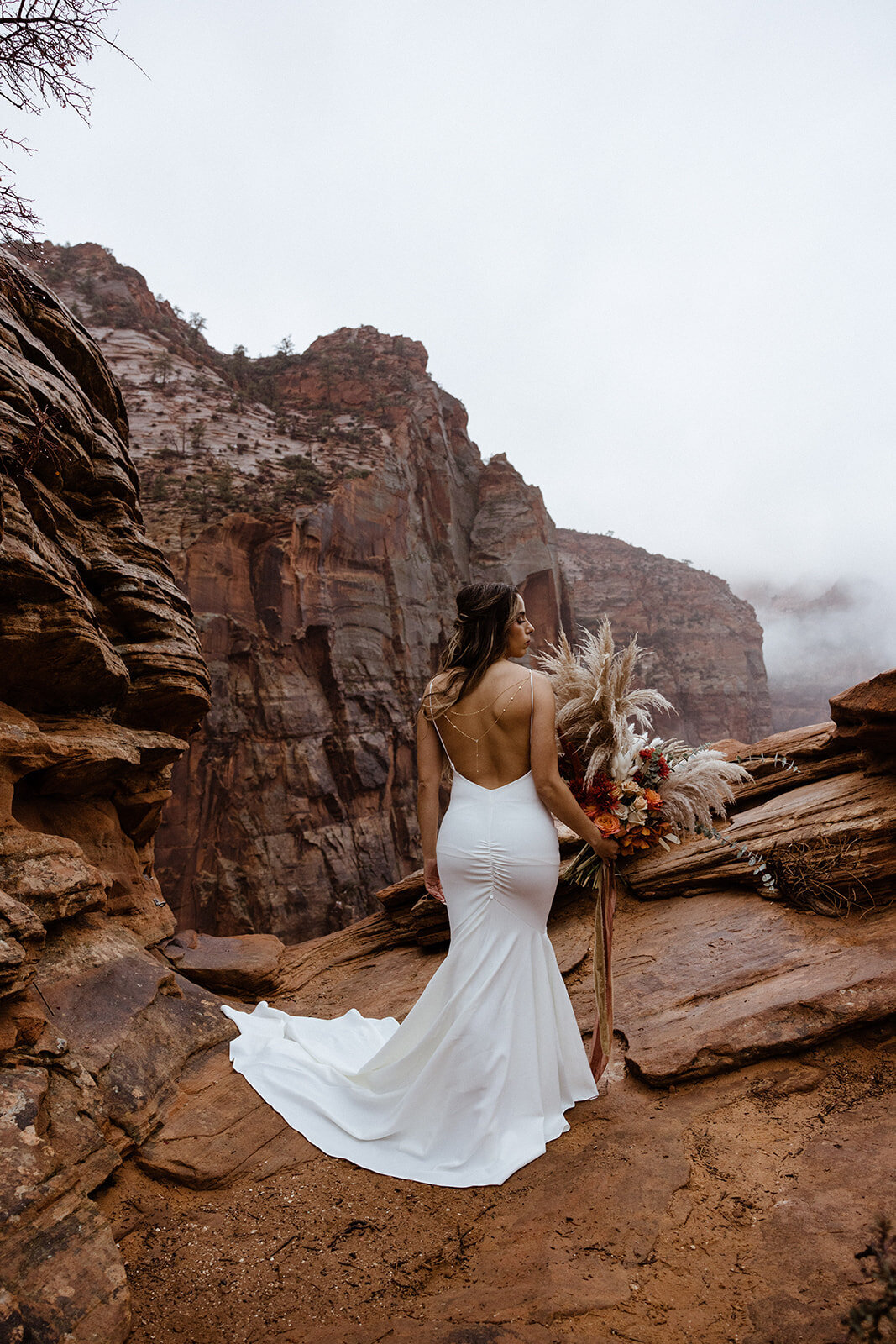 ZionSnowCanyon-dallinhassard-1455