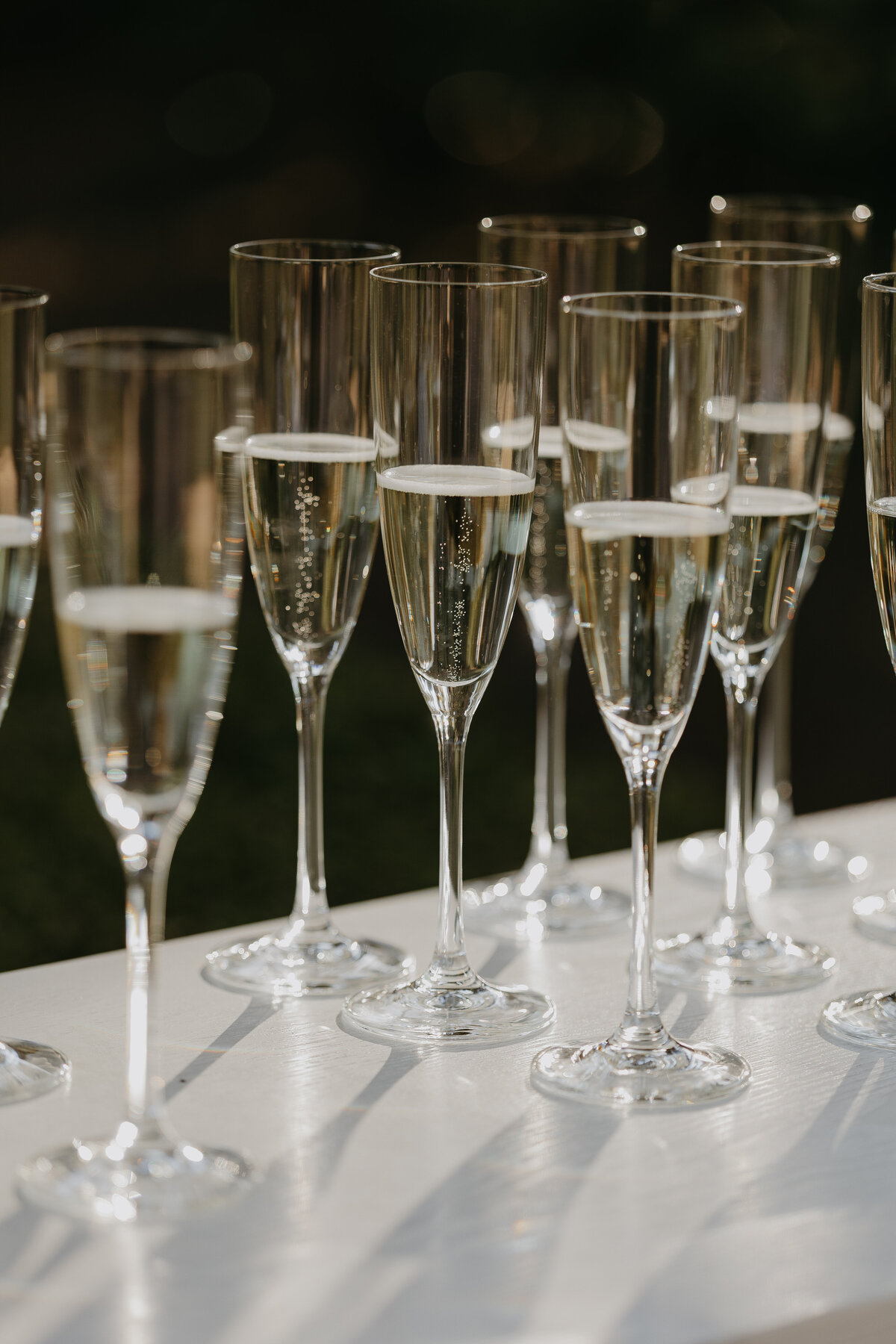 NadeenSparksPhoto-9471