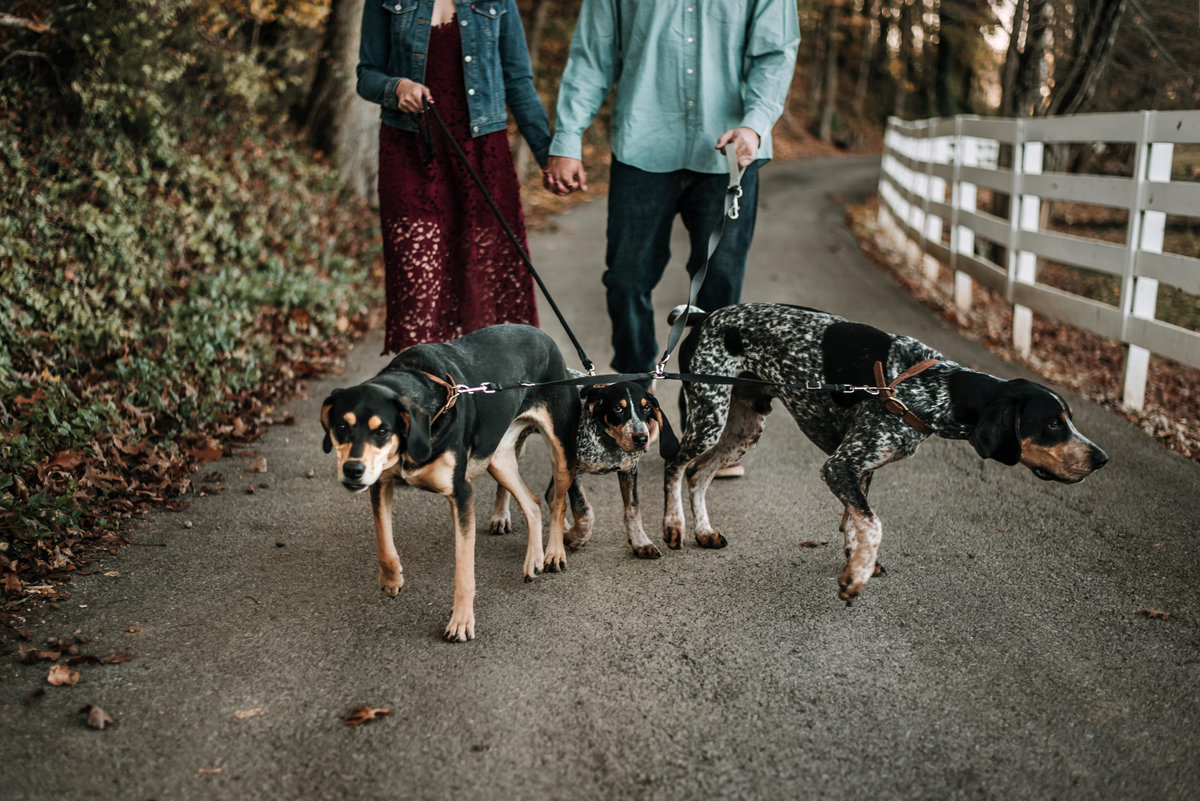 knoxville-engagement-photographer