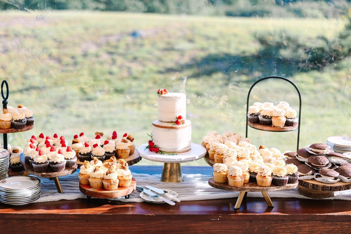 Wildflower_Inspired_Sunny_Colorful_Wedding_Photography_Preserve_at_Chocorua_New_Hampshire_0089