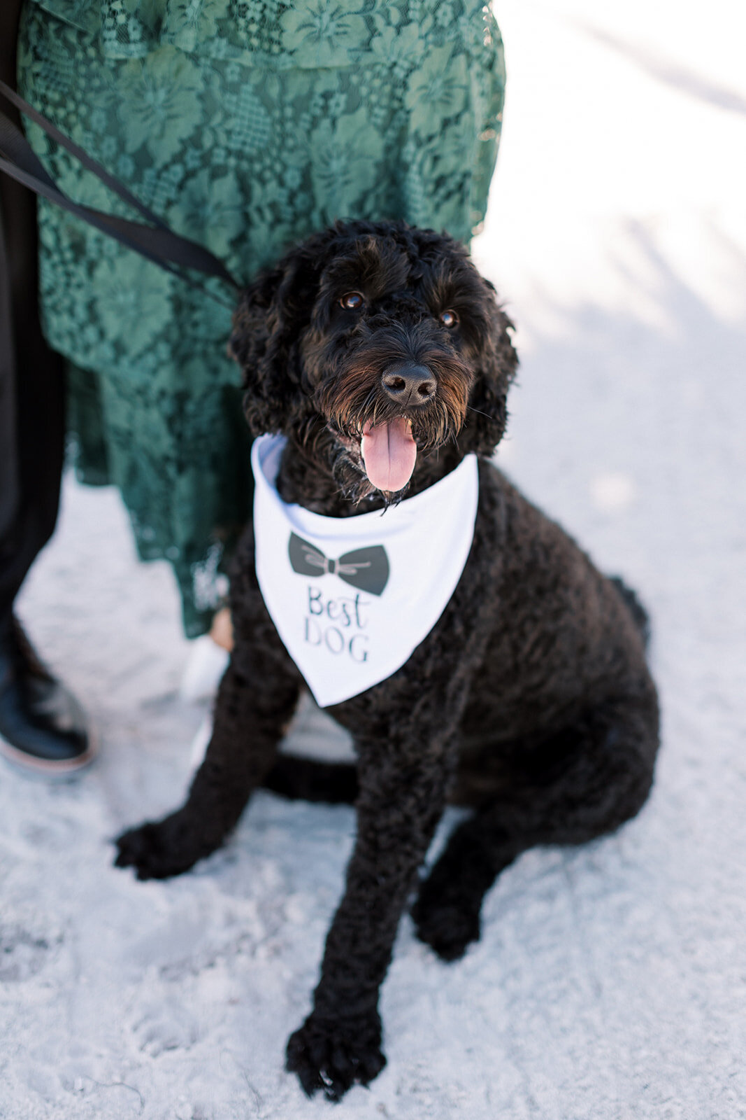 miranda-rose-photo-isla-del-sol-elope-tampa-chantilly-chic-wedding-5