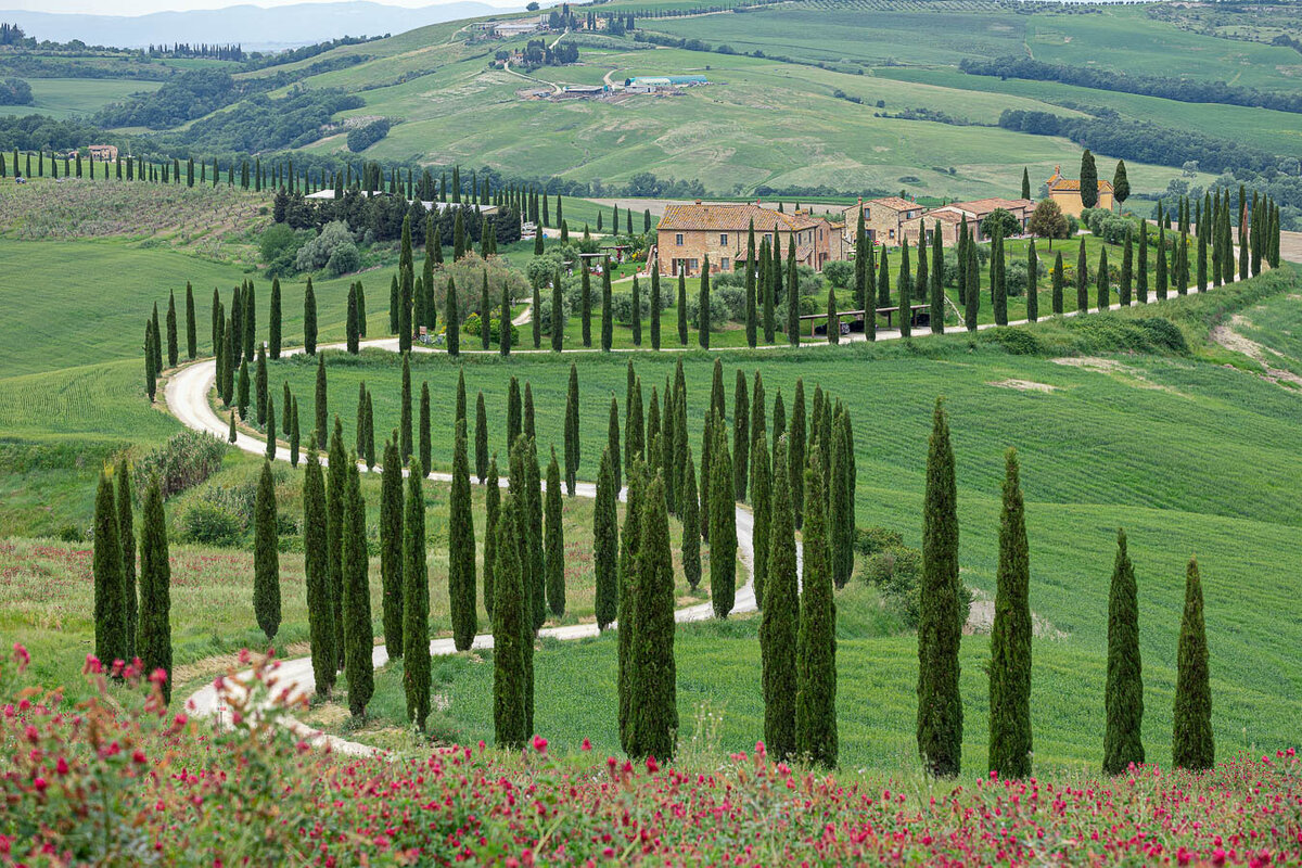 italy-tuscany-asciano-agriturismo-baccoleno-9476