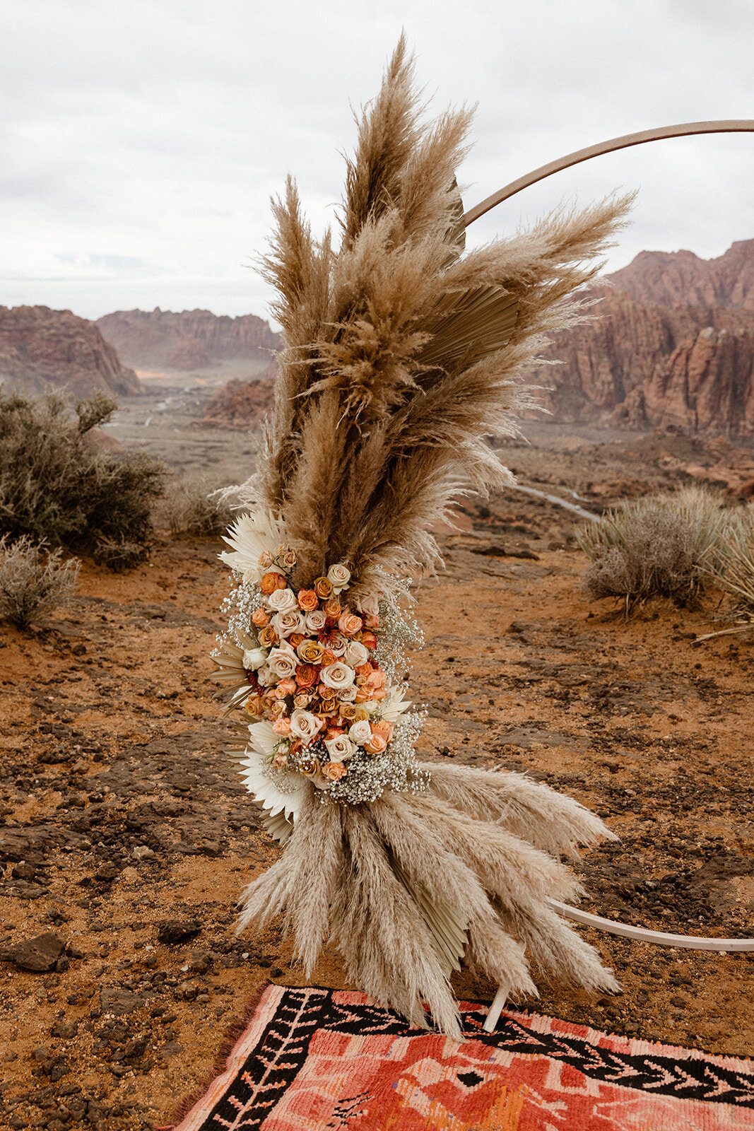 ZionSnowCanyon-dallinhassard-2215