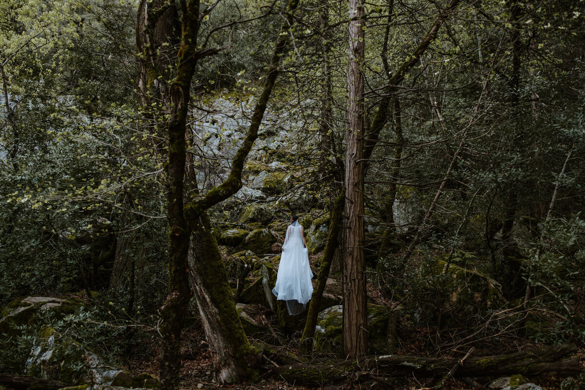 Yosemite Elopement-41