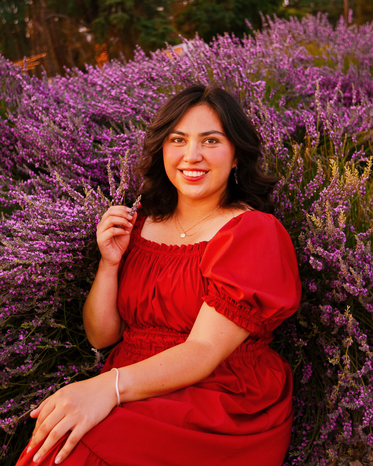 Lavender Last Diana (6)