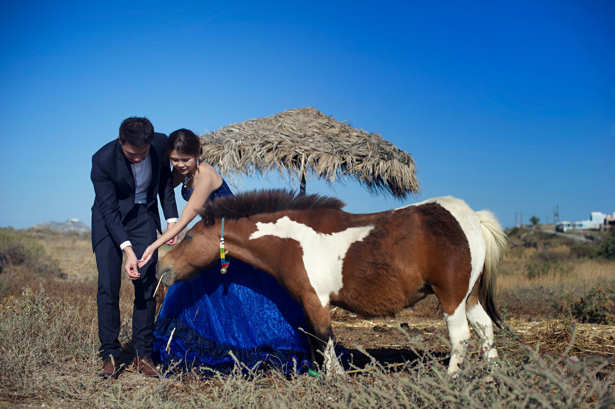 Jancy and Thomas (424 of 888)