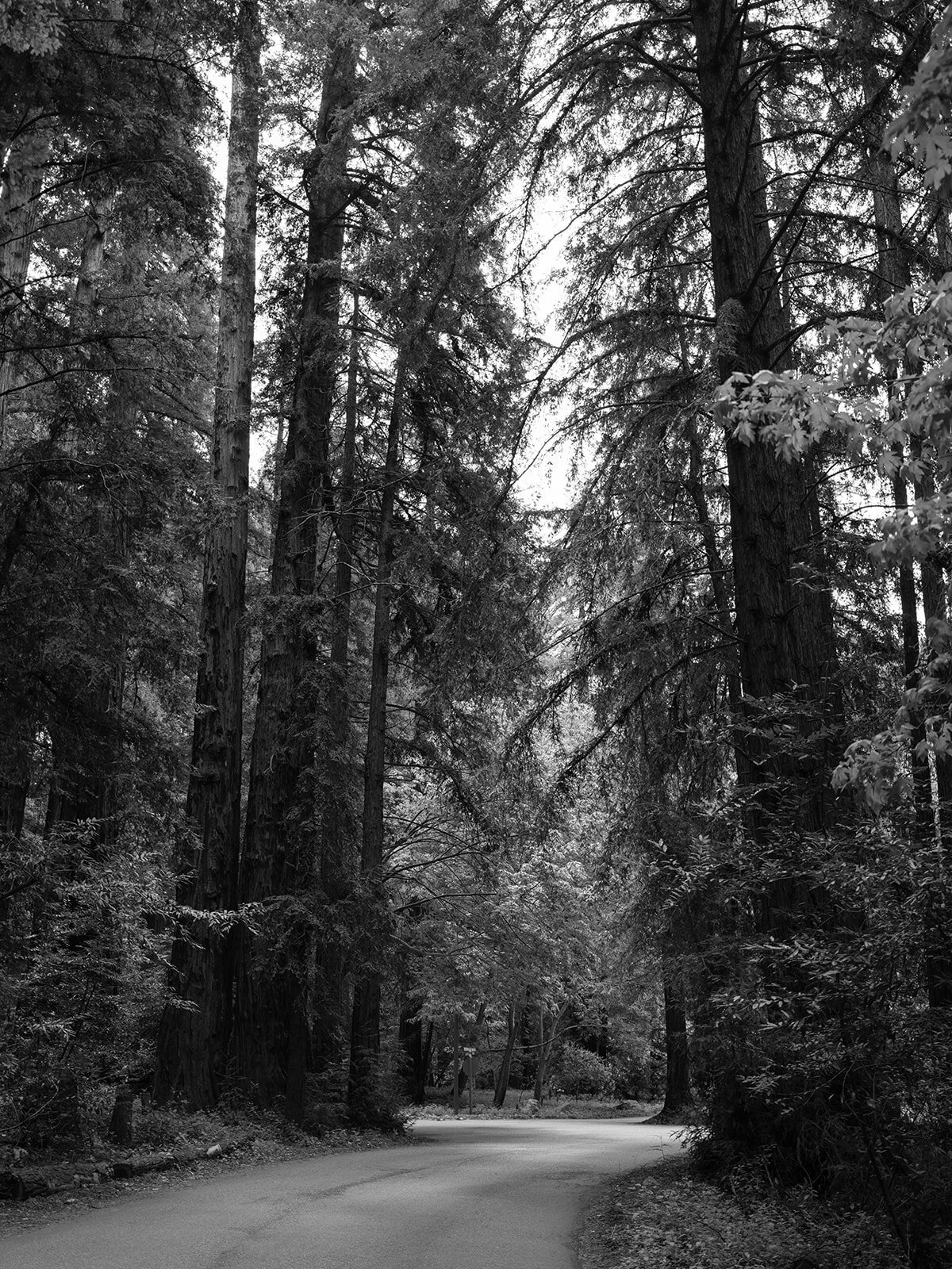 loui_photography-18