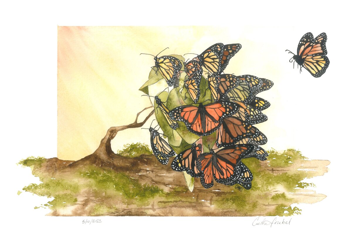 #23 'Little Fluttering Bouquets'
