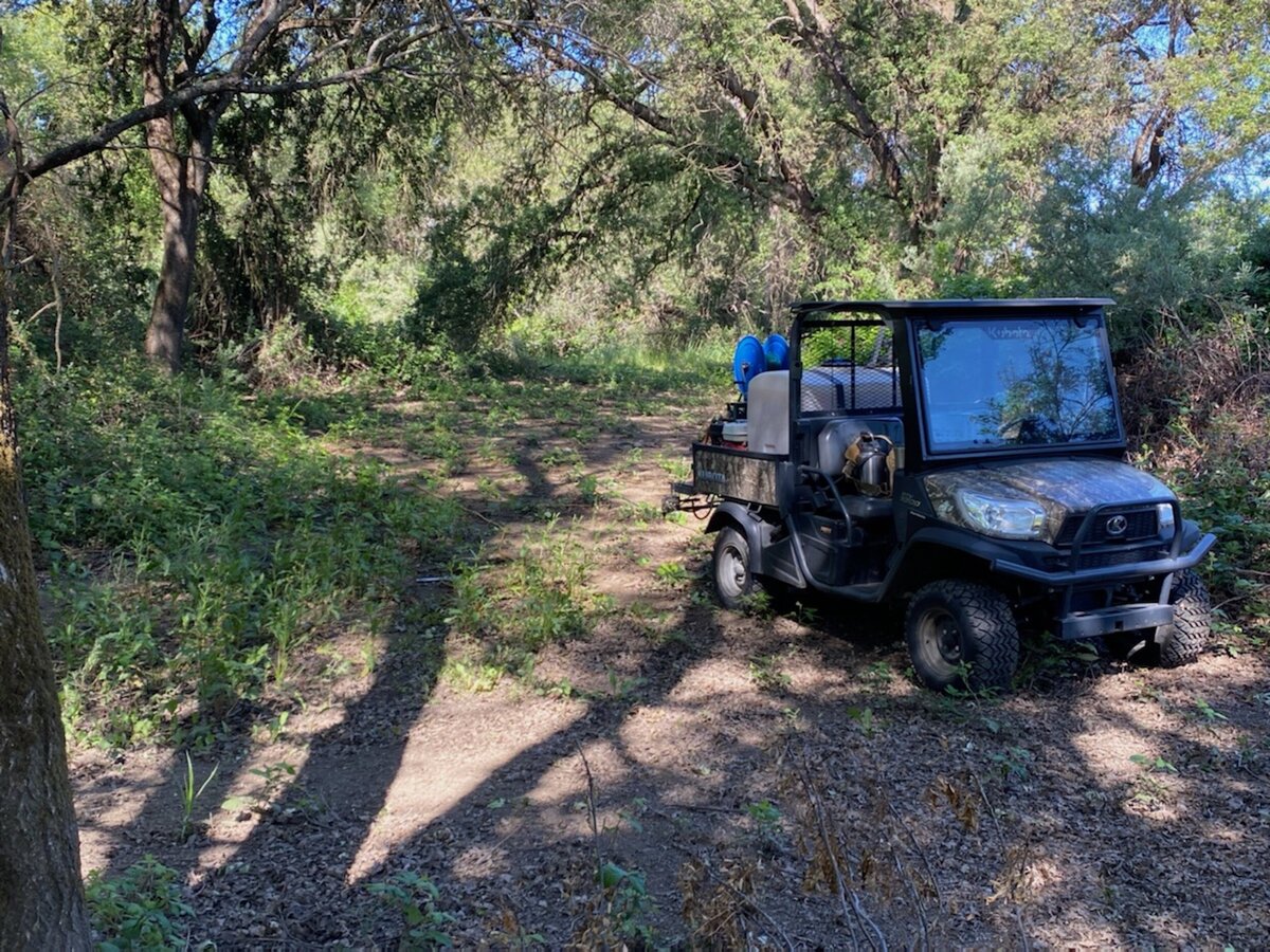 ATV with chemical treatment supplies in woods