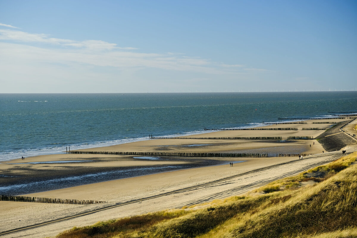 STUDIO JULLES X ZEELAND 7