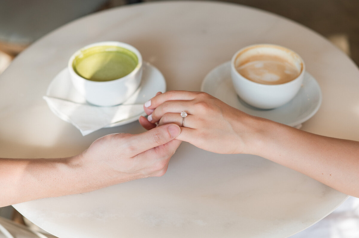 toronto engagement phototographer 6