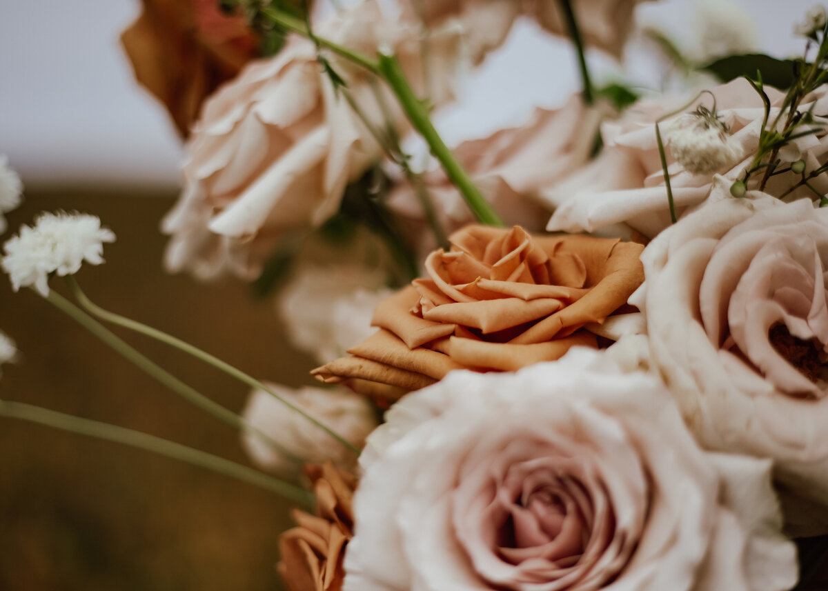 07312021_Chris+KaylaElopement_BodegaBayCA_AnjaJensenPhotography_36