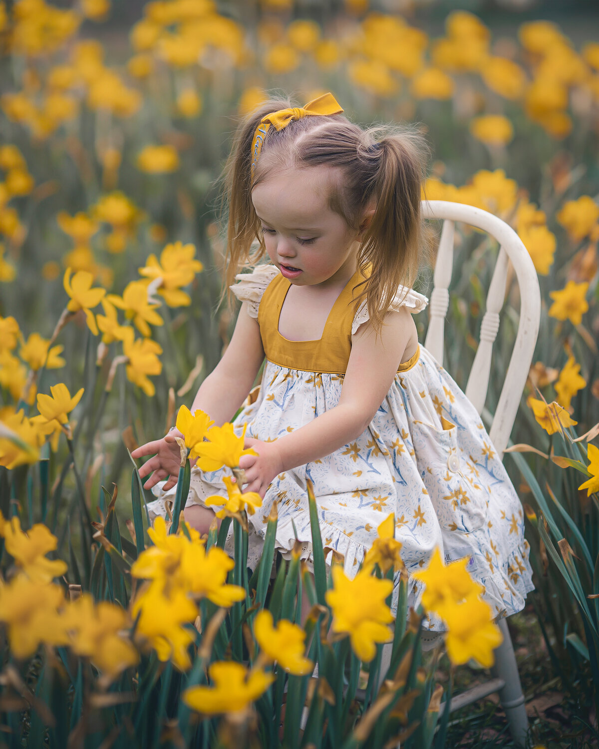 Raleigh-family-photographer-7