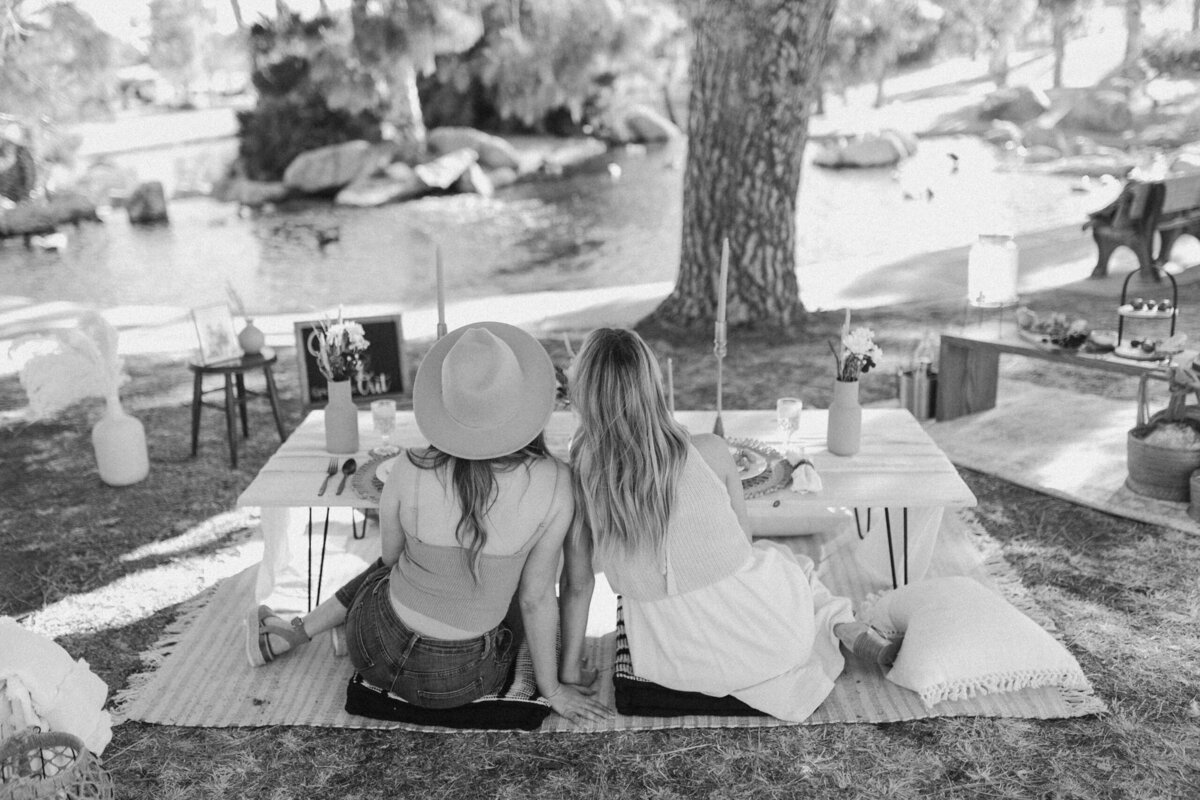 picnics by rae-7462