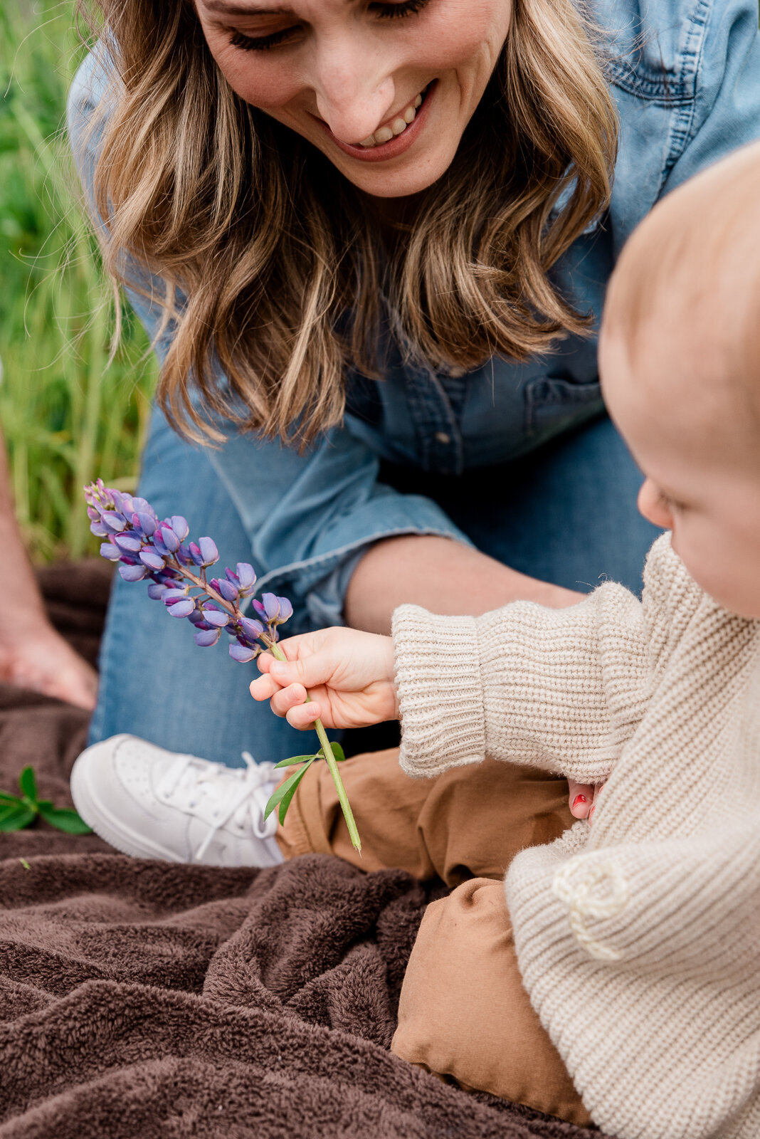 Baby holding lupine flowers