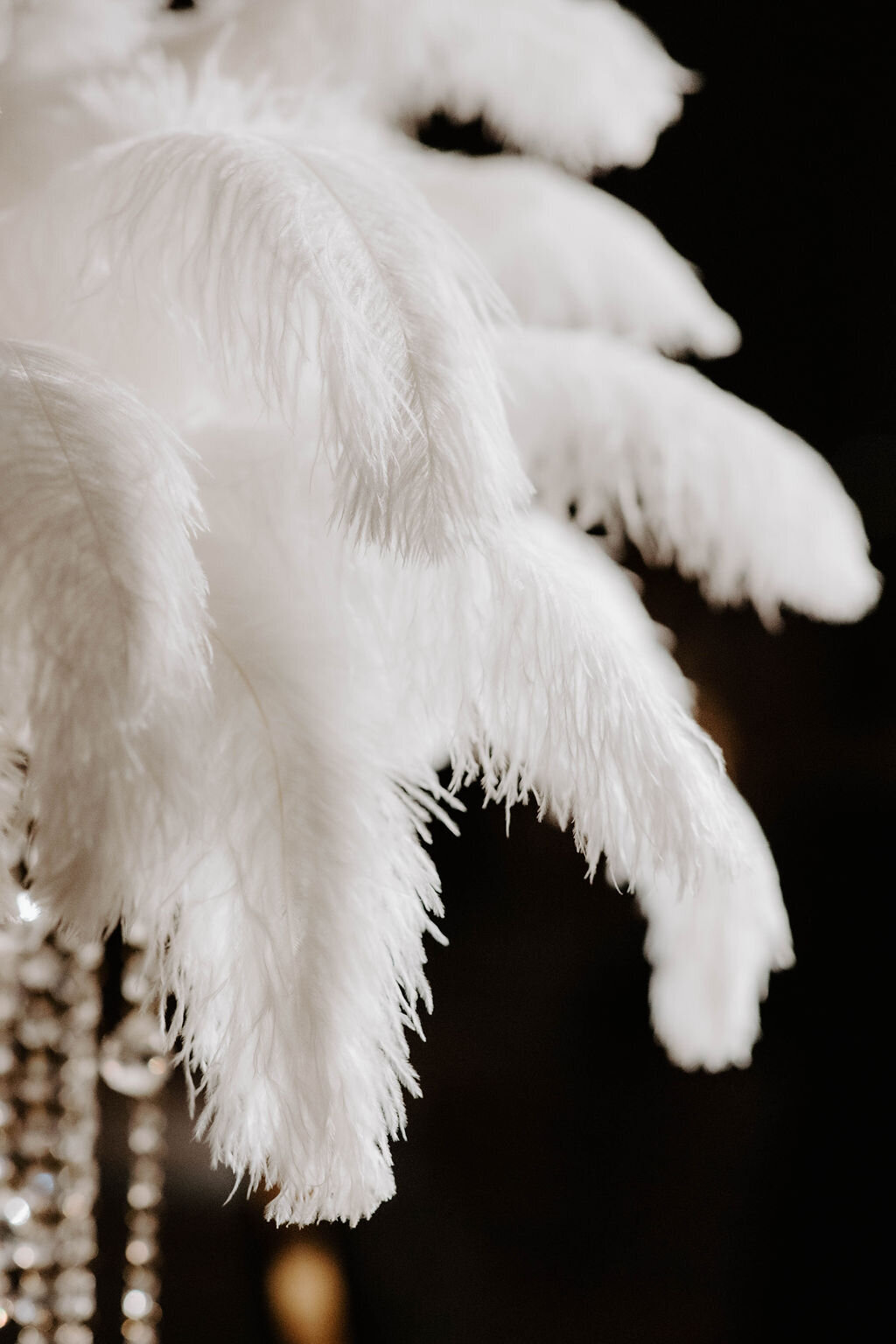 85mmIrisMariePhotographyLLC-1567
