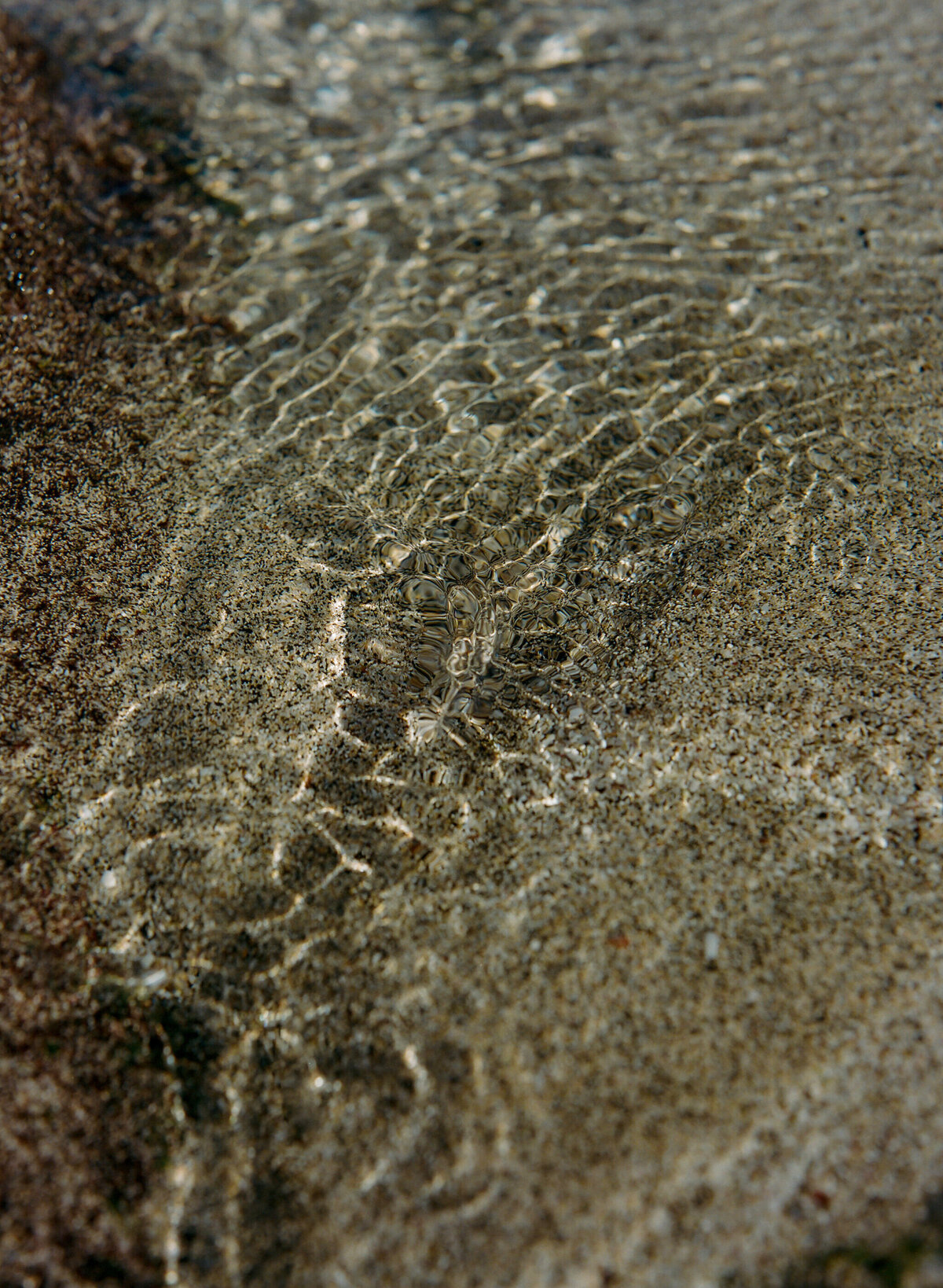 dani_toscano_kona-143