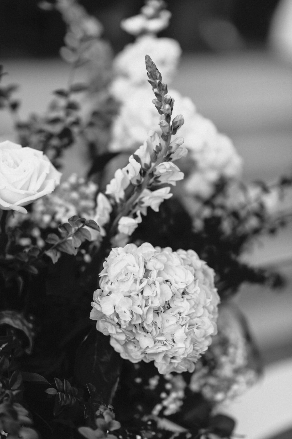 DSC.bw_4727