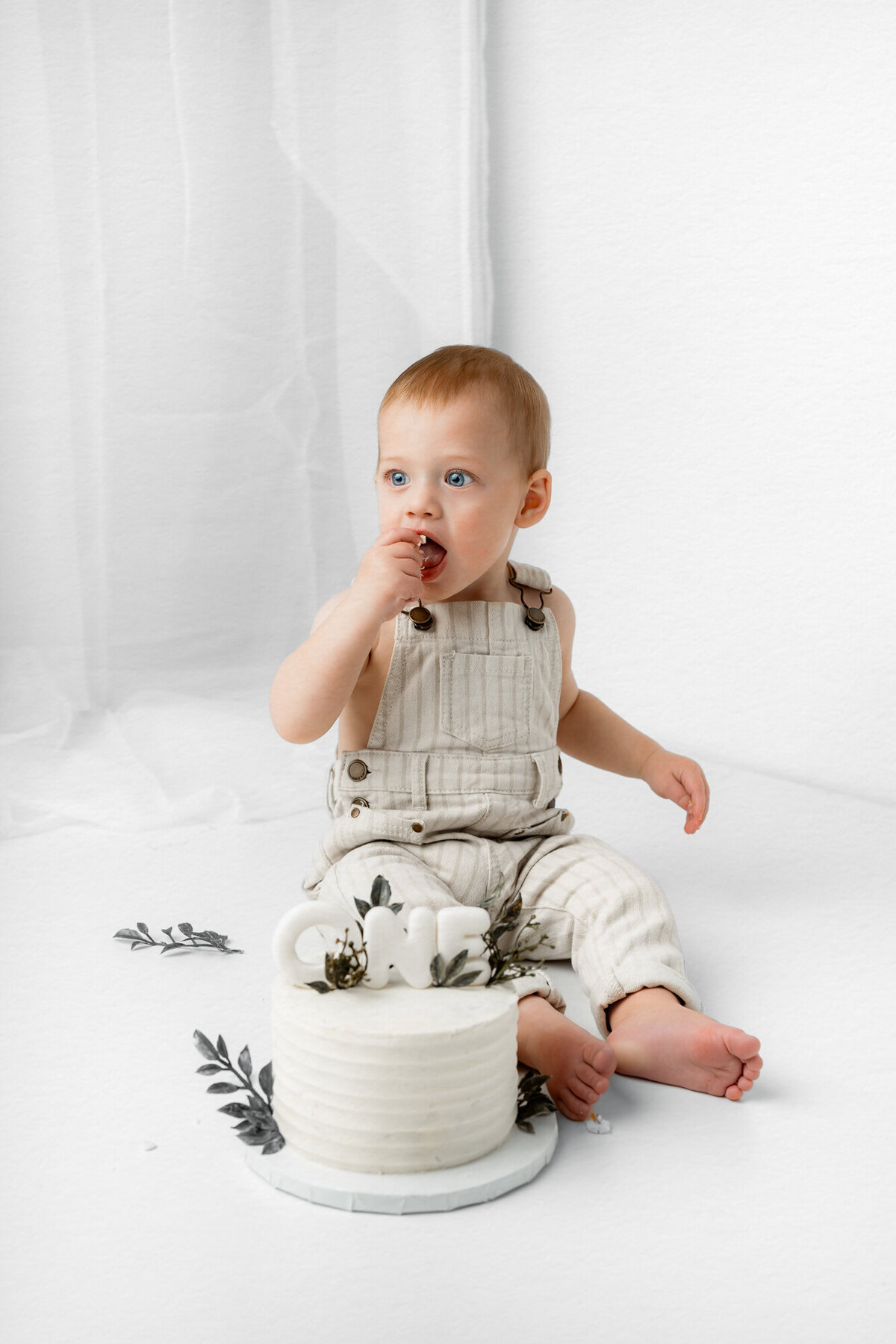 Lake Tahoe-Cake Smash-Photographer-17