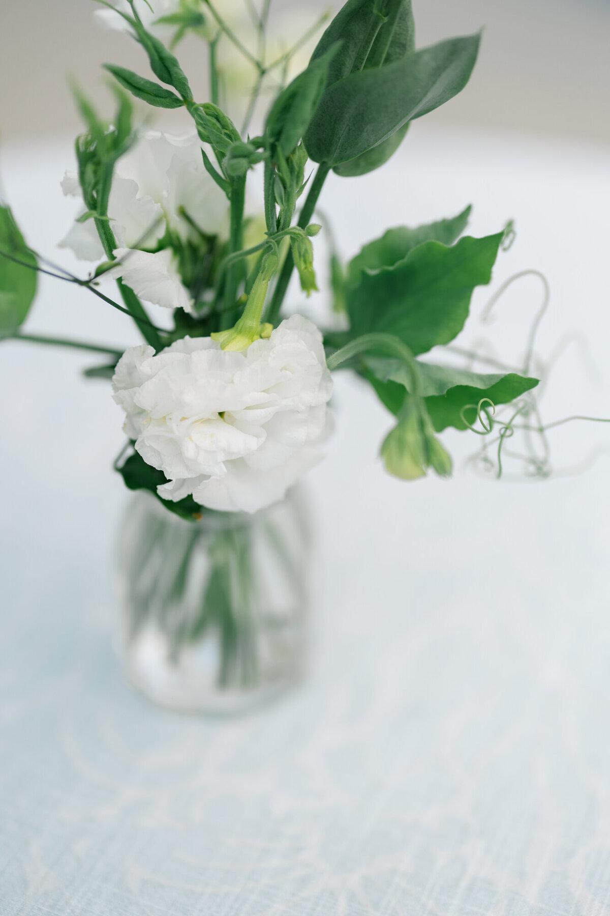 Mary Francis + Jared 2024-29