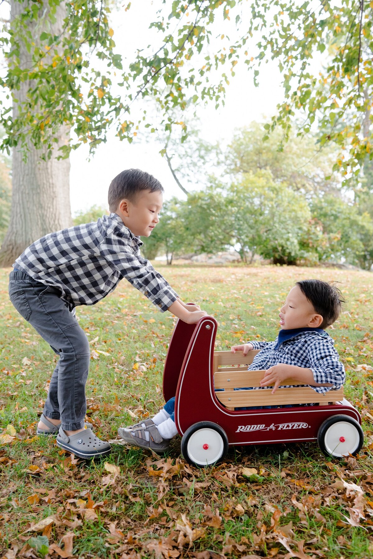 37_family_portrait_picture_sessions_ckp