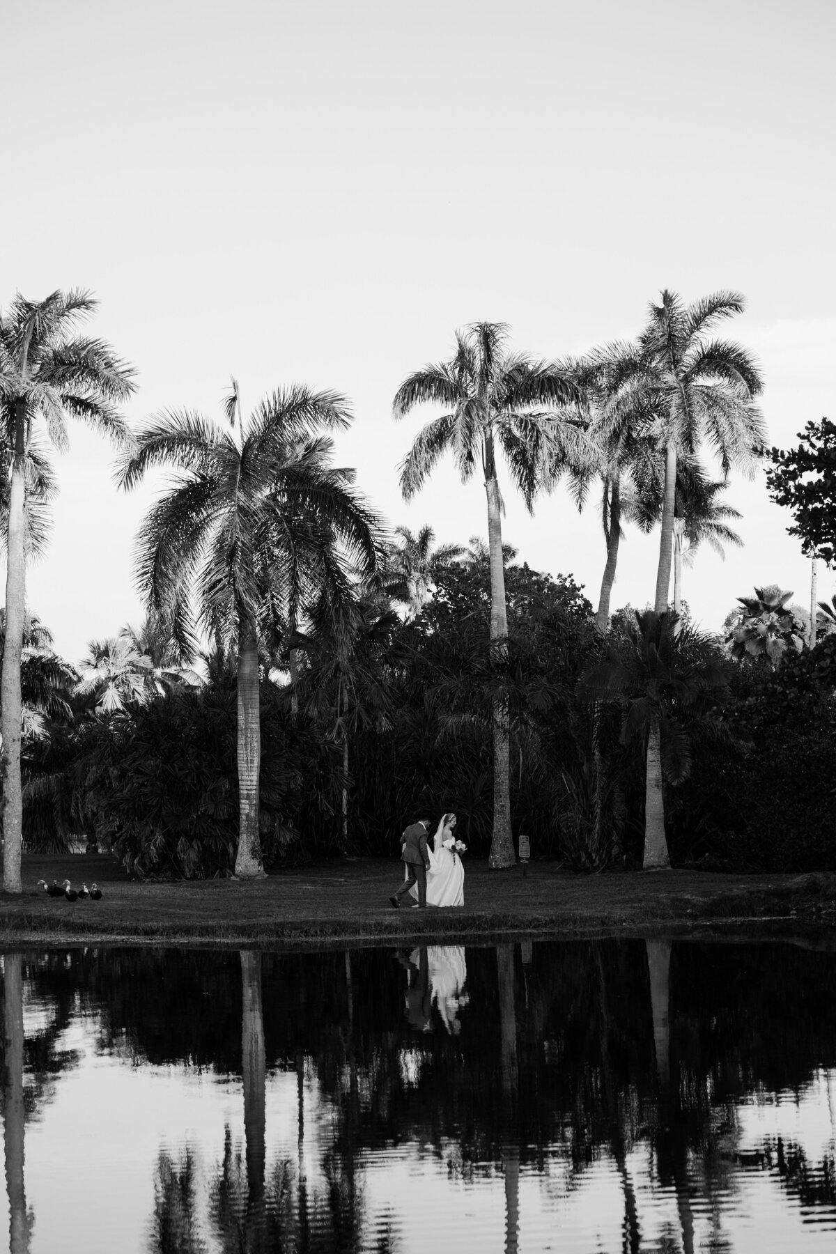 fairchild-botanical-garden-anti-bride-wedding-miami-florida-235