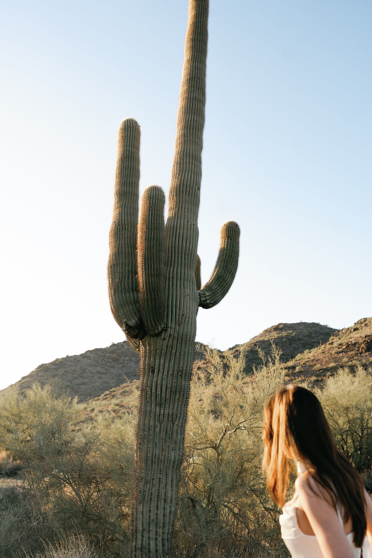 arizona-42