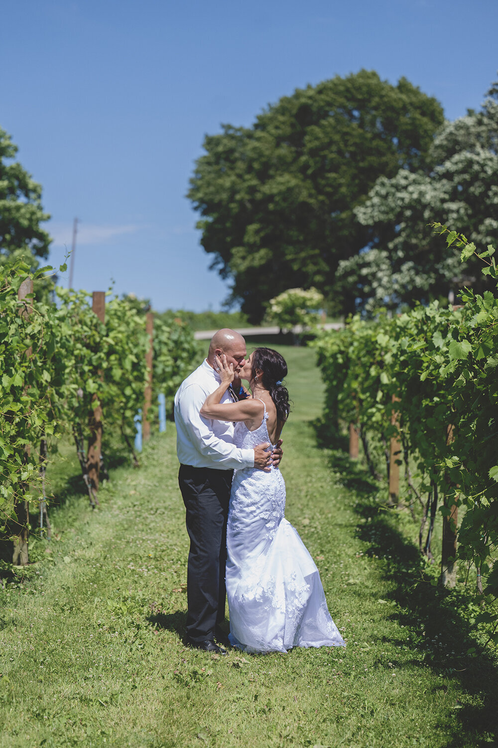 DC Estate Winery vines kiss South Beloit Wedding Photography