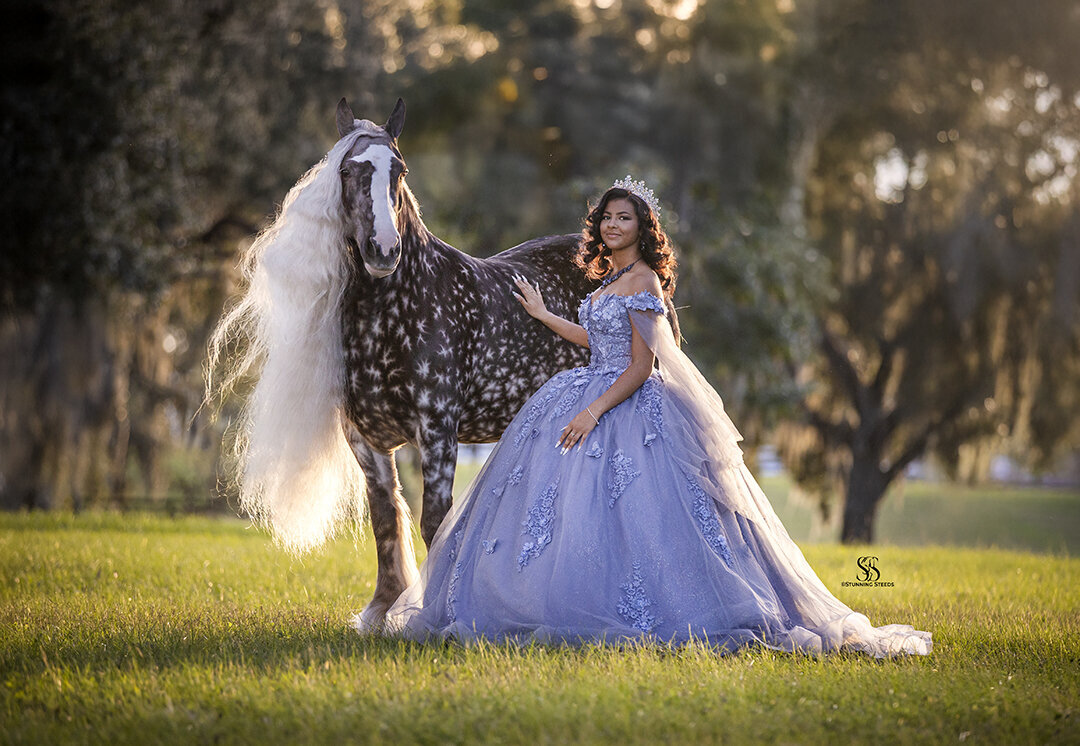 AA0I2744©StunningSteedsPhoto