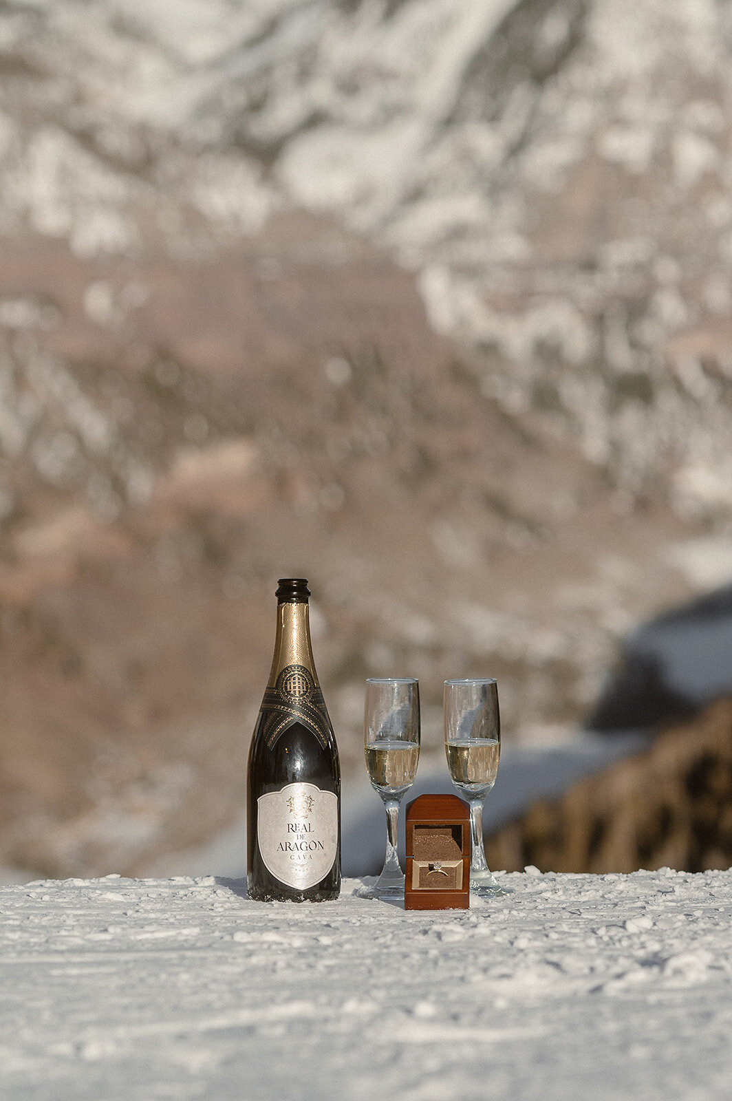 Winter_Engagement_Telluride_Proposal_San_Sophia_Overlook_AshleyJoycePhotography17