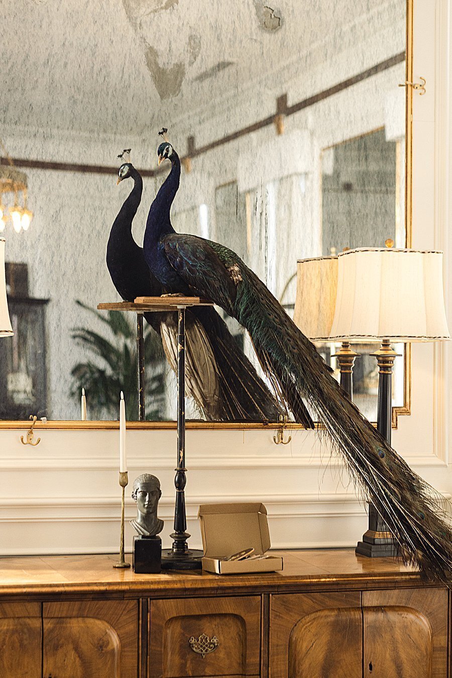 elopement-photography-austin-texas-mason-dallas-4276