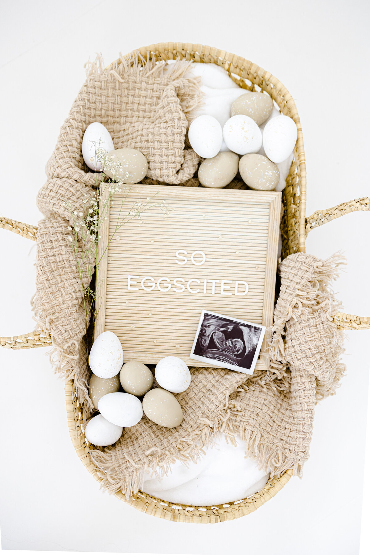 Jessica's Pregnancy Announcement-1