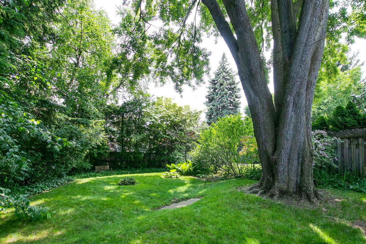 55-web-or-mls-74_005_Backyard