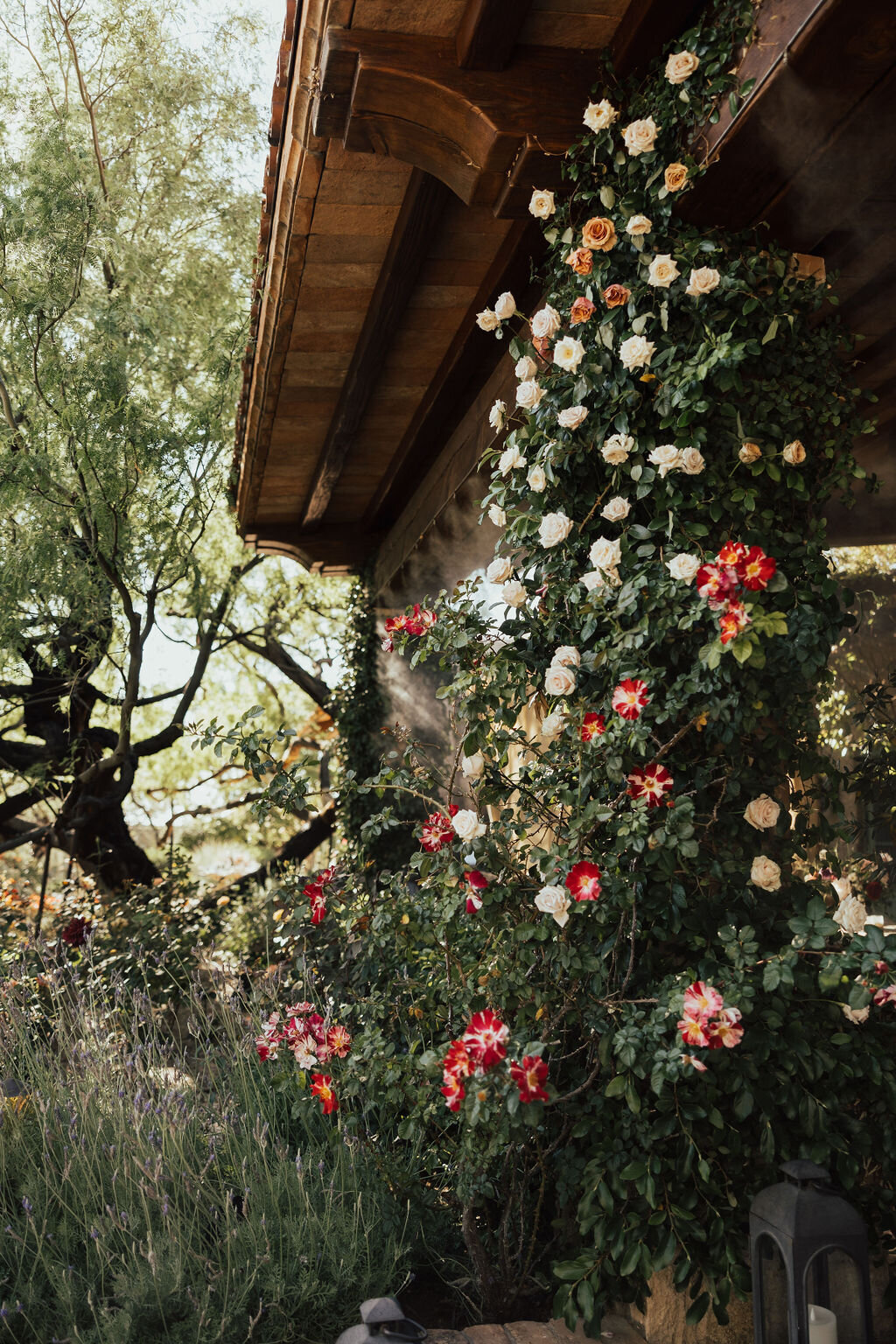 tinted-events-design-and-planning-Destination-Wedding-Planner-Scottsdale-Wedding-Hilary-Lacey-Photography-tintedevents.com-385