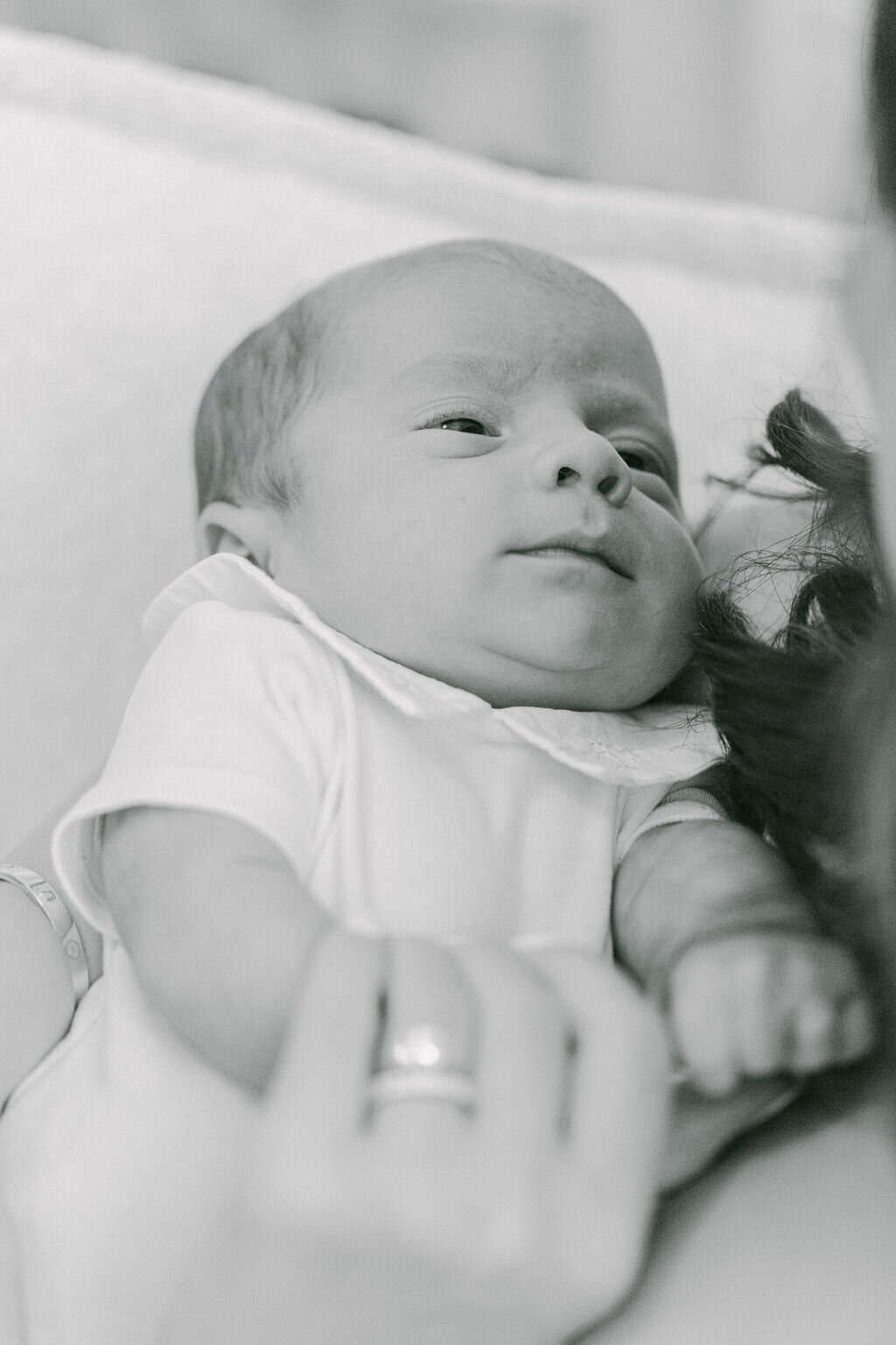 PERRUCCIPHOTO_MONRO_TWINS_41BW