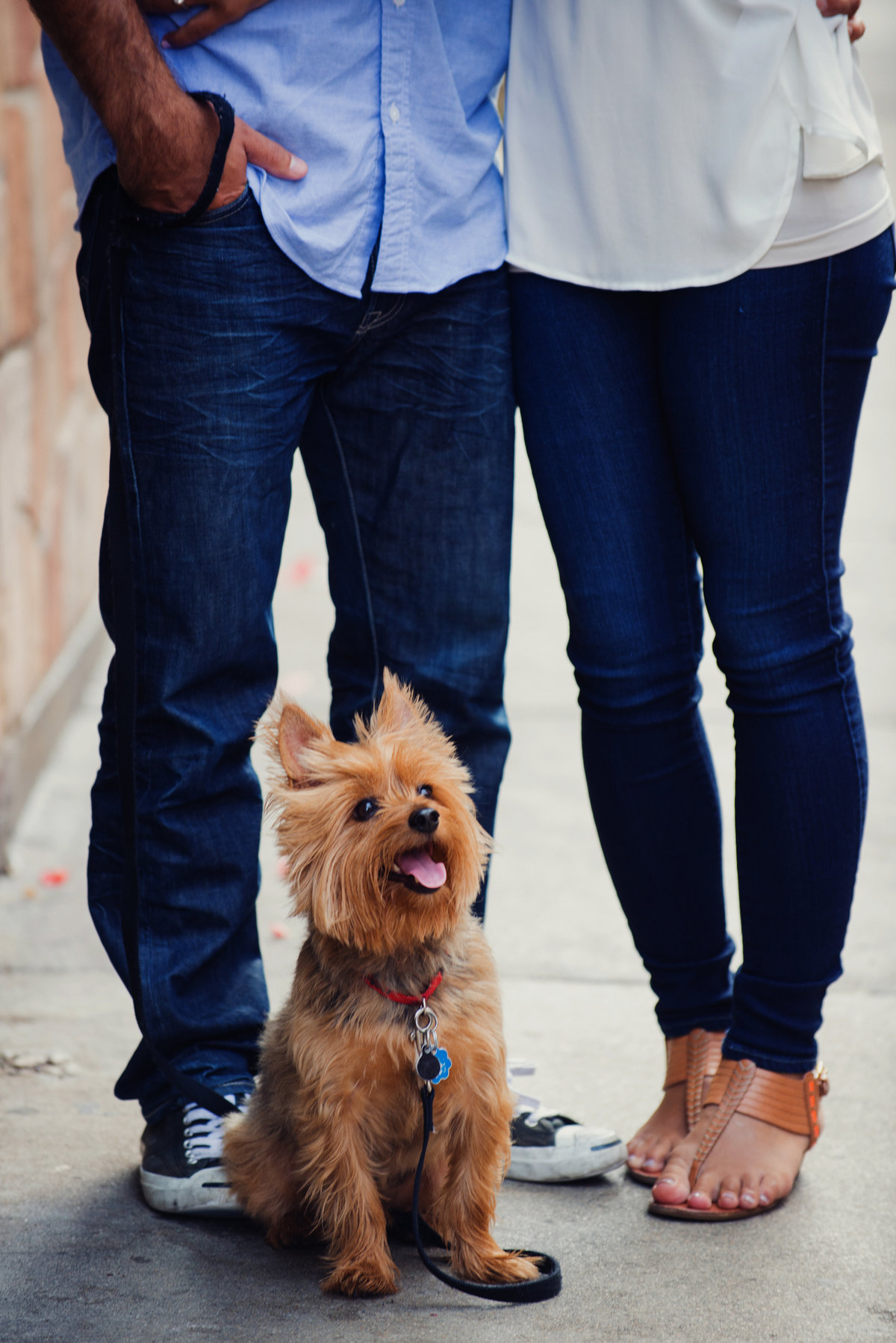 Boston Engagement Photos _ Snap Weddings0011