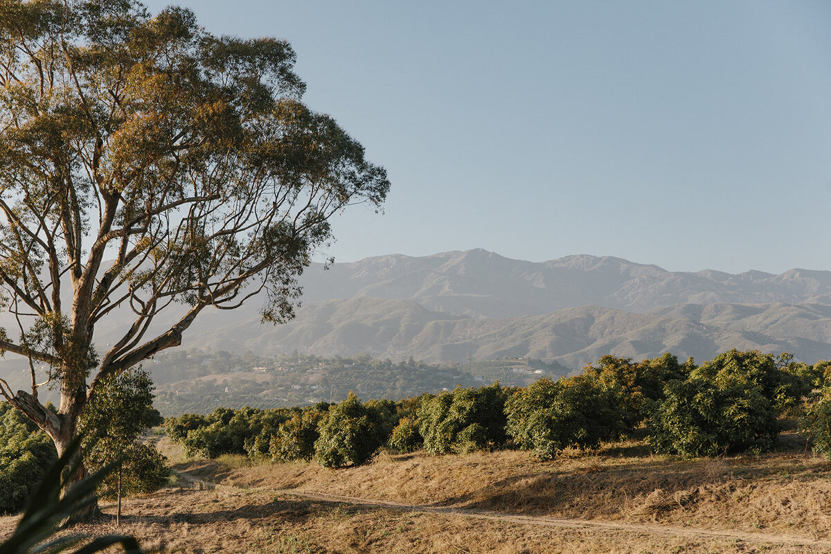 Tripp_Devry_D3_Santa_Barbara_Wedding_SBerard_Weddings-633