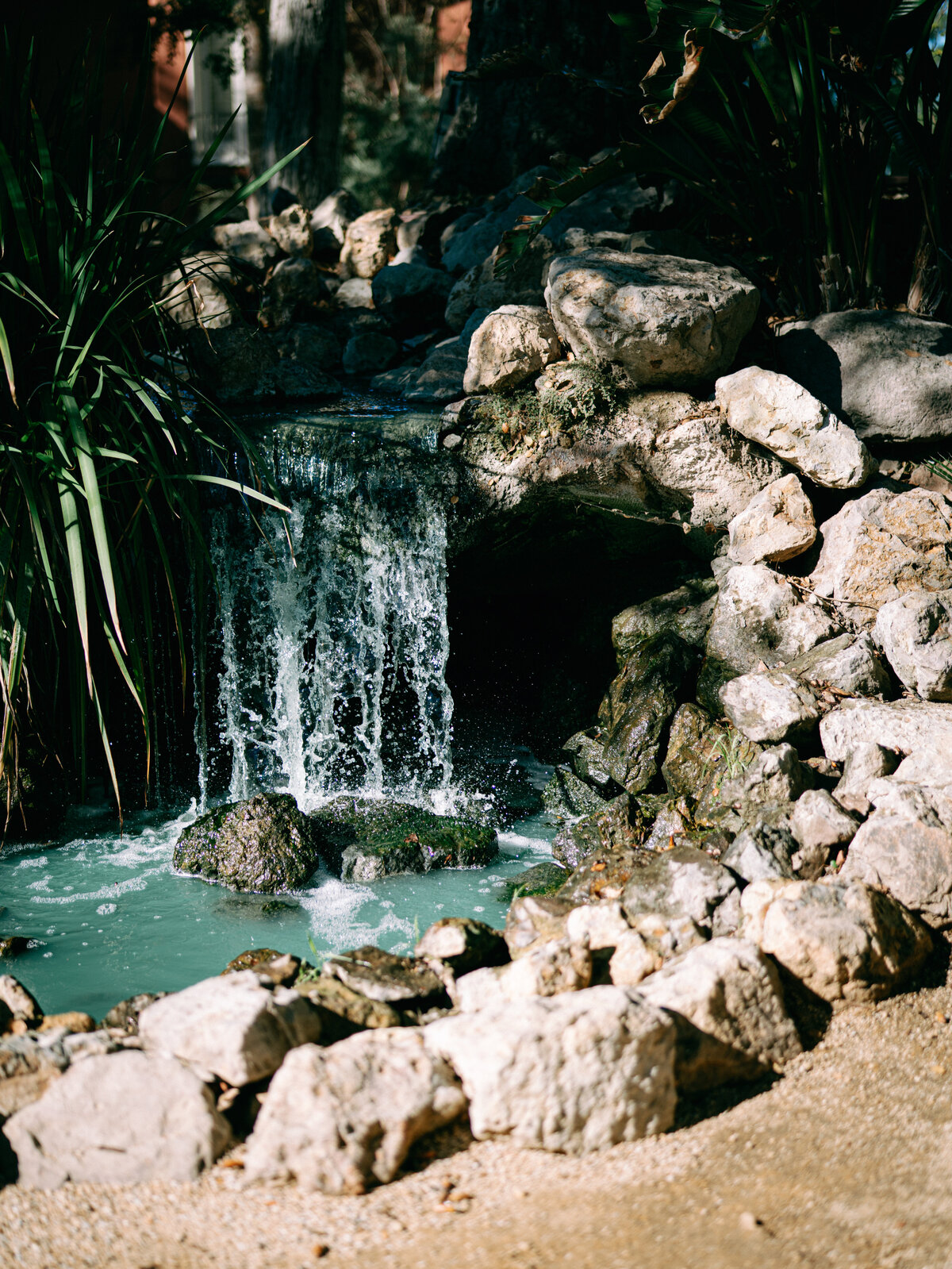 Cielo_Farms-37